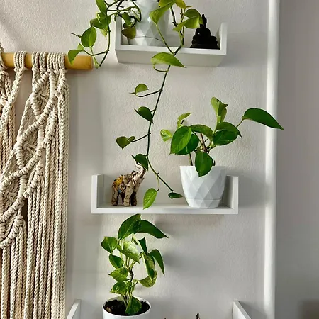 Apartamento Center Tourist Tirana