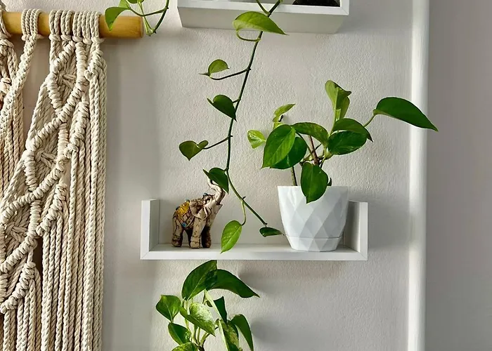 アパート Center Tourist ティラナ